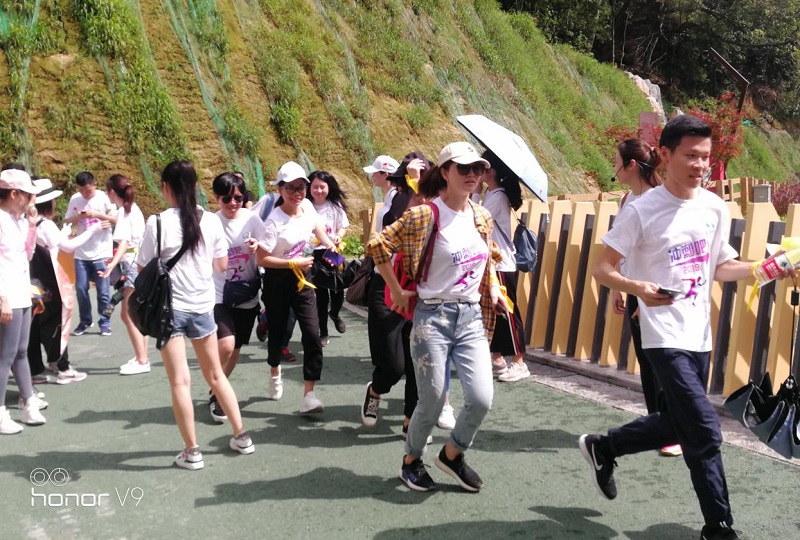 攜手并進(jìn)·沖刺2019|云里物里營銷中心登山拓展活動圓滿結(jié)束!