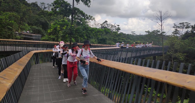 攜手并進(jìn)·沖刺2019|云里物里營銷中心登山拓展活動圓滿結(jié)束!