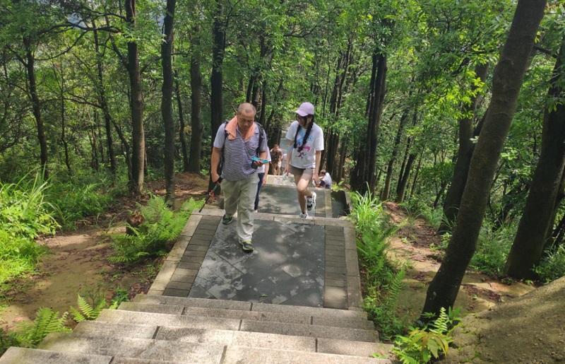 攜手并進(jìn)·沖刺2019|云里物里營銷中心登山拓展活動圓滿結(jié)束!